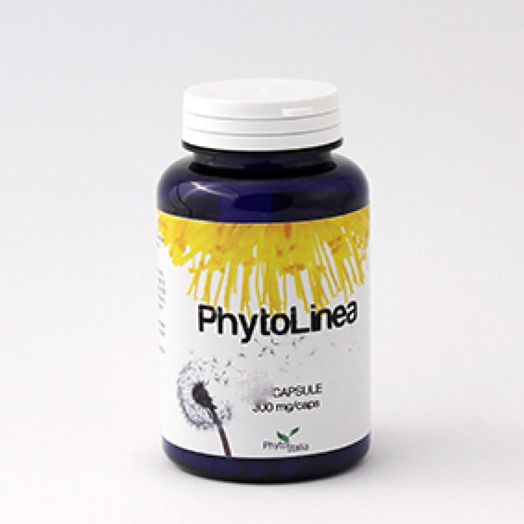 PHYTOLINEA 60 CAPSULE