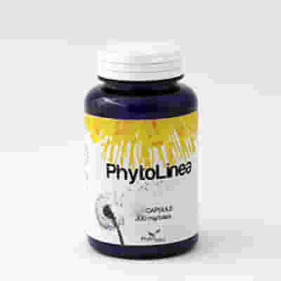 PHYTOLINEA 60 CAPSULE