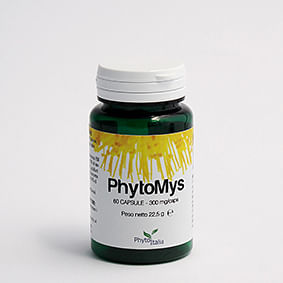 Phytomys 60 Capsule