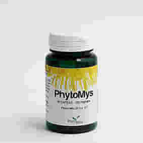 PHYTOMYS 60 CAPSULE
