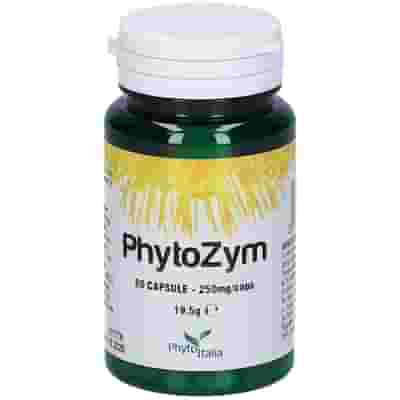 PHYTOZYM 60 CAPSULE
