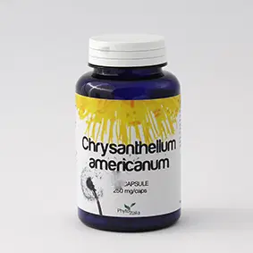 CHRYSANTELLUM AMERICANUM 60 CAPSULE CHRYSANTELLUM AMERICANUM 60 CAPSULE