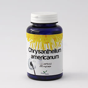 Integratore Chrysantellum Americanum per fegato, 60 capsule