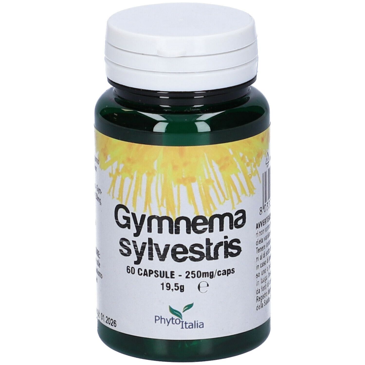 Gymnema Sylvestris 60 Capsule