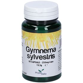 Gymnema Sylvestris 60 Capsule