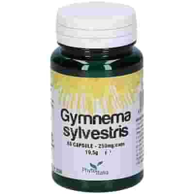GYMNEMA SYLVESTRIS 60 CAPSULE