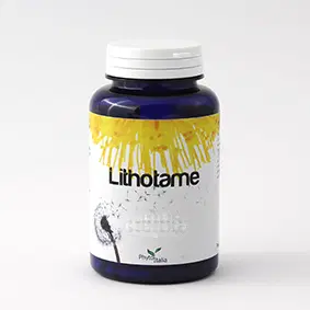 LITHOTAME 60 CAPSULE LITHOTAME 60 CAPSULE