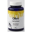 PHYTOITALIA OLIVO 60 CAPSULE