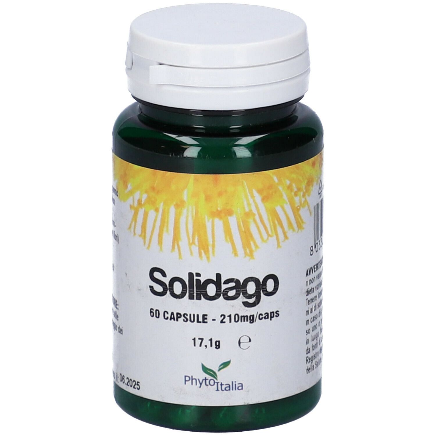 Solidago 60 Capsule