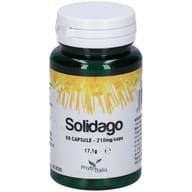 SOLIDAGO 60 CAPSULE