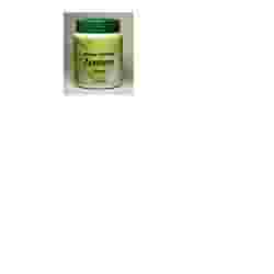 PHYTOITALIA ZENZERO 60 CAPSULE