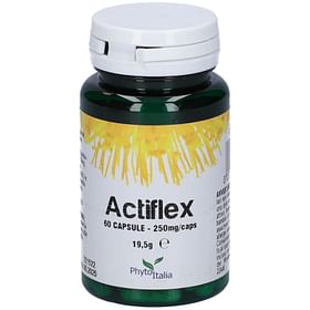 Actiflex 60 Capsule