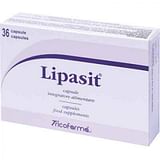 LIPASIT DERMOPUR 36 CAPSULE 500 MG