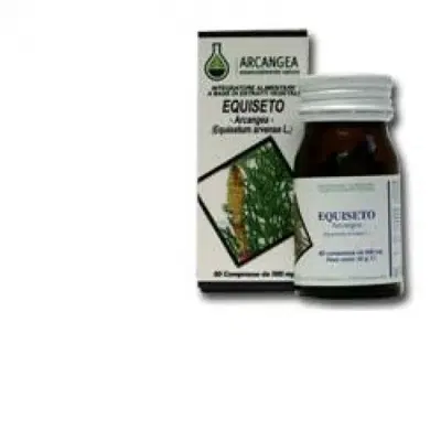 EQUISETO 60 CAPSULE 500 MG EQUISETO 60 CAPSULE 500 MG