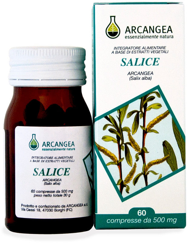 Salice 60 Capsule 500 Mg