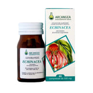 ECHINACEA 60 CAPSULE 500 MG