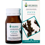 FUCUS 60 CAPSULE 500MG