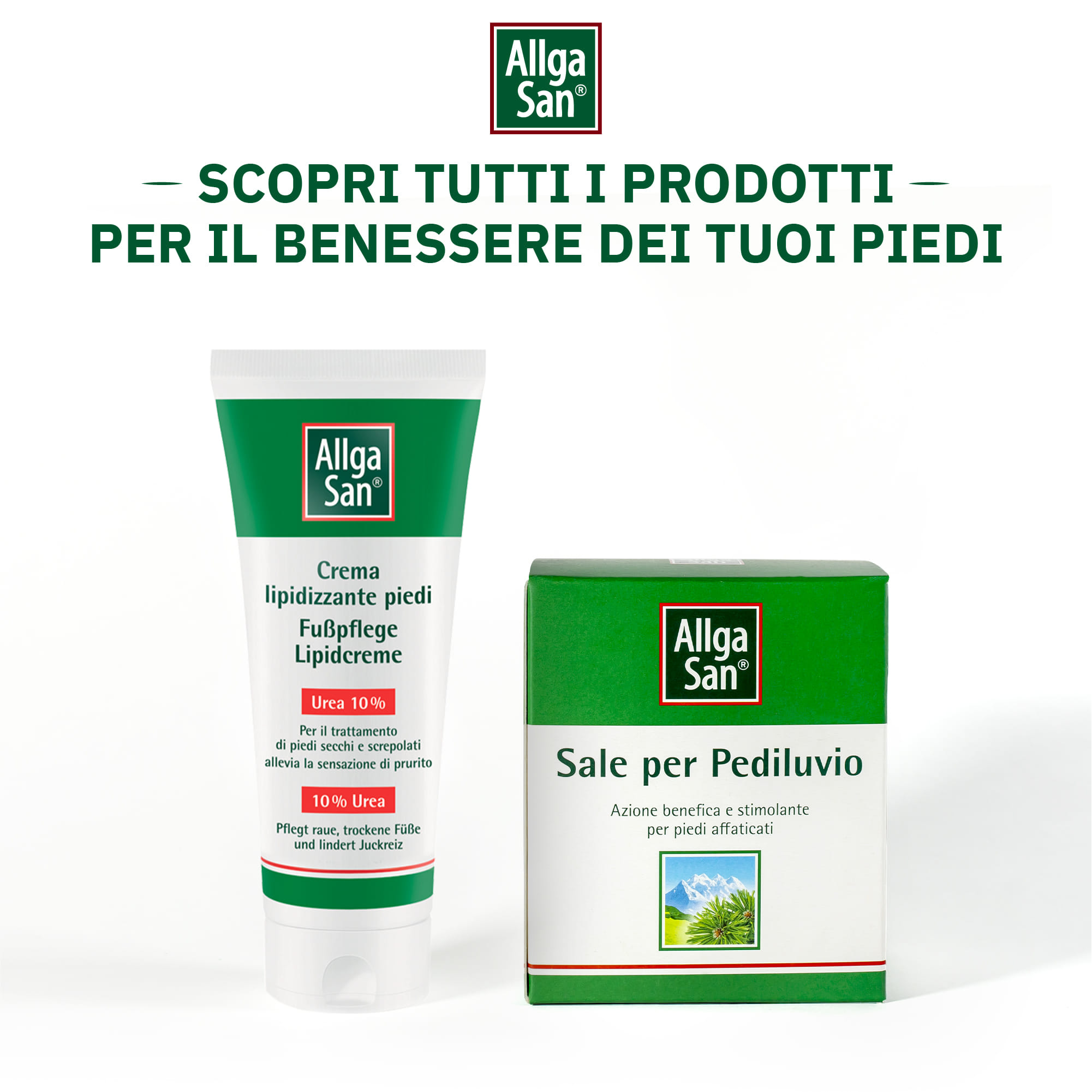 ALLGASAN CREMA LIPIDIZZANTE PIEDI 100 ML