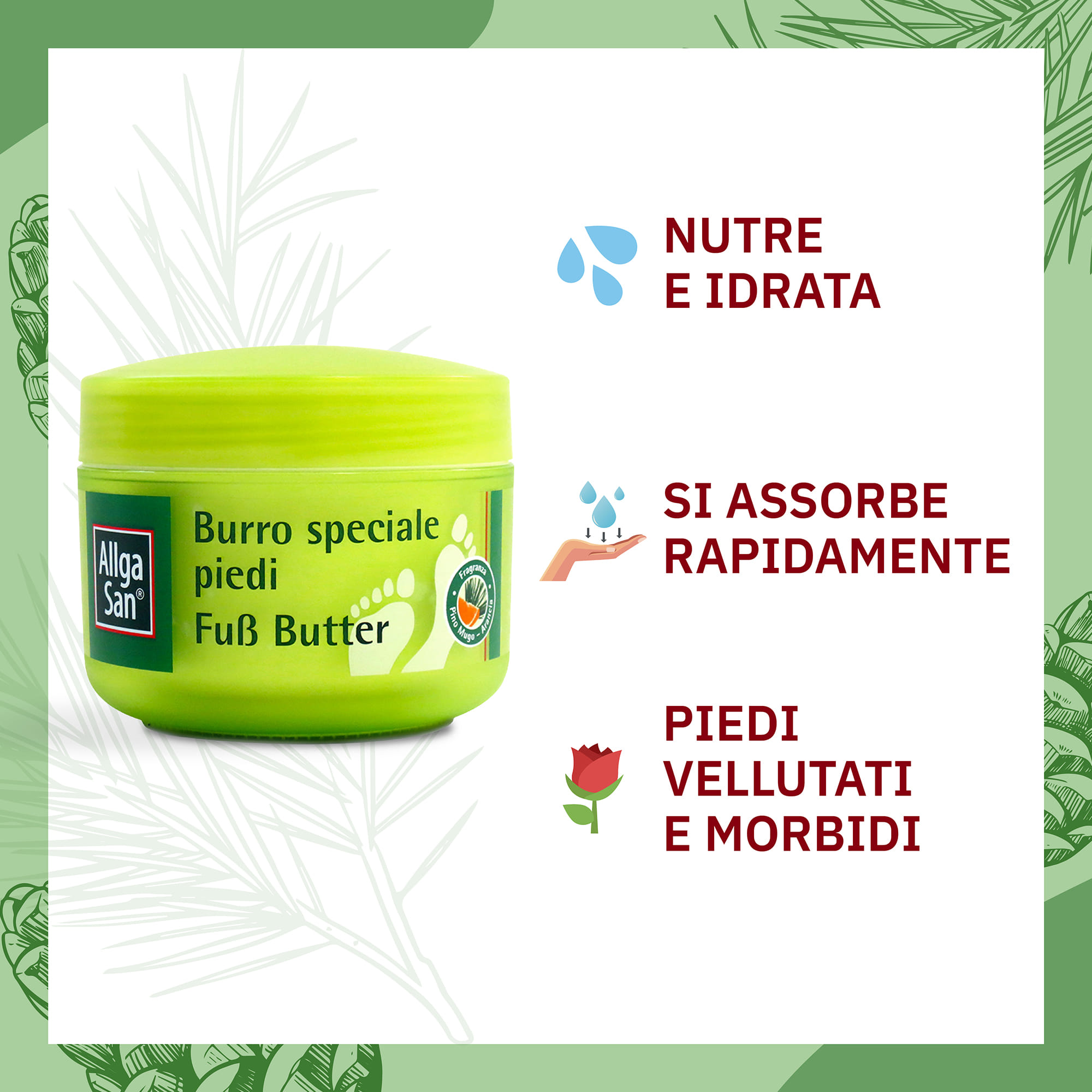 ALLGASAN BURRO SPECIALE PIEDI 200 ML