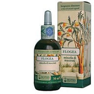 FLOGEA SOLUZIONE IDROALCOLICA 50 ML