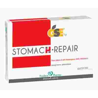 GSE STOMACH REPAIR 45 COMPRESSE