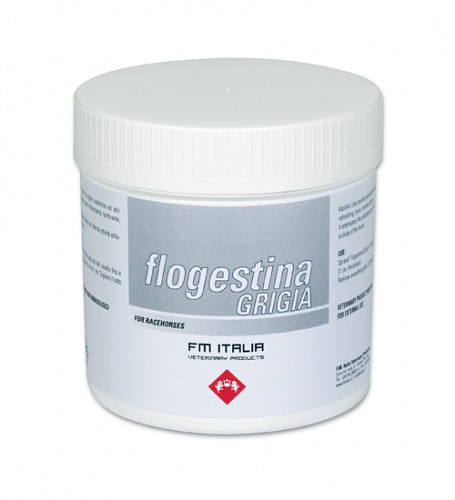 Flogestina Grigia Pasta 1 Kg