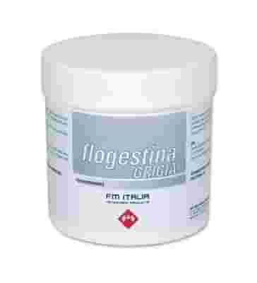 FLOGESTINA GRIGIA PASTA 1 KG