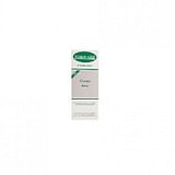 FORWARD CREMA BASE 100 ML