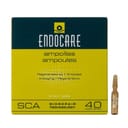 ENDOCARE B 7 FIALE 1 ML