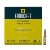 ENDOCARE B 7 FIALE 1 ML