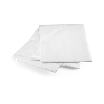 LENZUOLO MONOUSO BUSTA 10 PEZZI LENZUOLO MONOUSO BUSTA 10 PEZZI