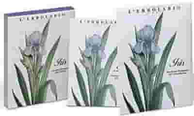 Sacchetti profumati Iris per guardaroba e cassetti