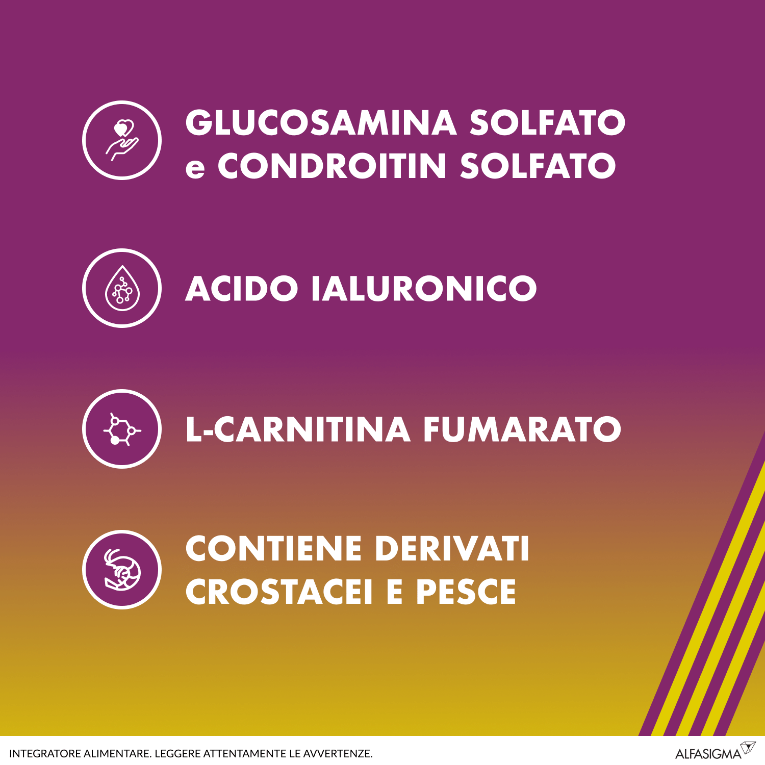 AMEDIAL BF 20 BUSTINE