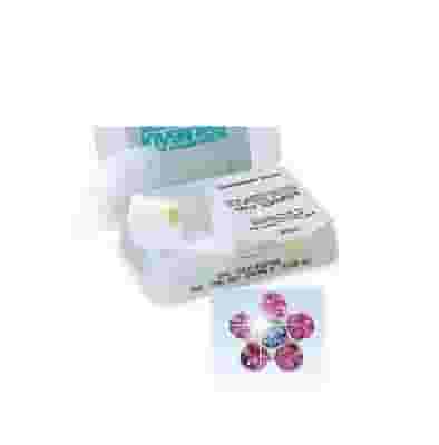 Orecchini Inverness Fiore Rosa e Zaffiro, sterili 5mm