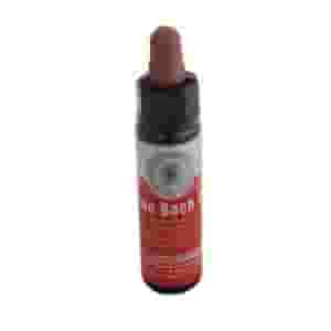 FIORI DI BACH CROMO BACH FEAR 10ML
