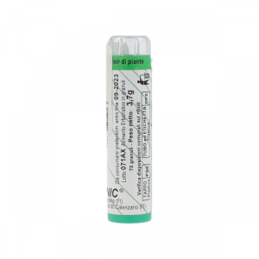 ARMONIC 2 ASPEN 70 G