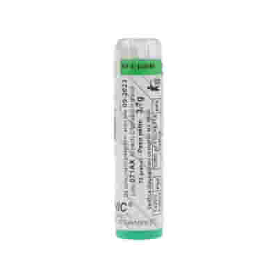 ARMONIC 2 ASPEN 70 G