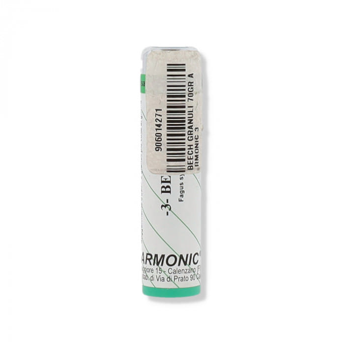 ARMONIC 3 BEECH 70 G