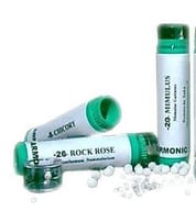 ARMONIC 15 HOLLY 70 G