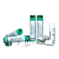 ARMONIC 23 OLIVE 70 G