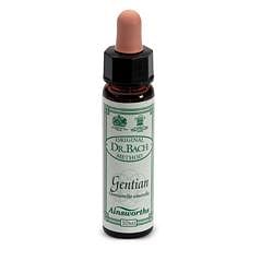 Ainsworths Gentian 10 Ml