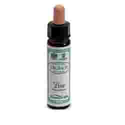 AINSWORTHS PINE 10ML
