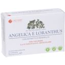 ANGELICA LORANTHUS 60 CAPSULE