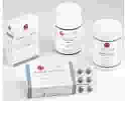 Integratore Lao Dan Rehmannia 6 per la menopausa, 60 compresse