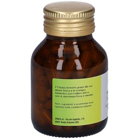 Tribulus 100 Capsule