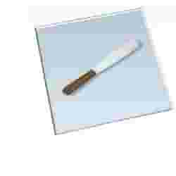 SPATOLA INOX 20CM
