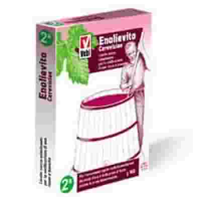 ENOLIEVITO CERVISIAE 100 G