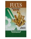FUCUS ERBE 150 TAVOLETTE