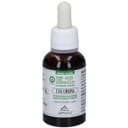 UVA URSINA ESTRATTO T 30 ML