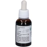 ELEUTEROCOCCO ESTRATTO TITOLATO 30 ML